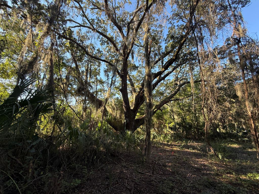 Image 8 of property listing at 404 Tanner Trail, Charleston, SC 29412