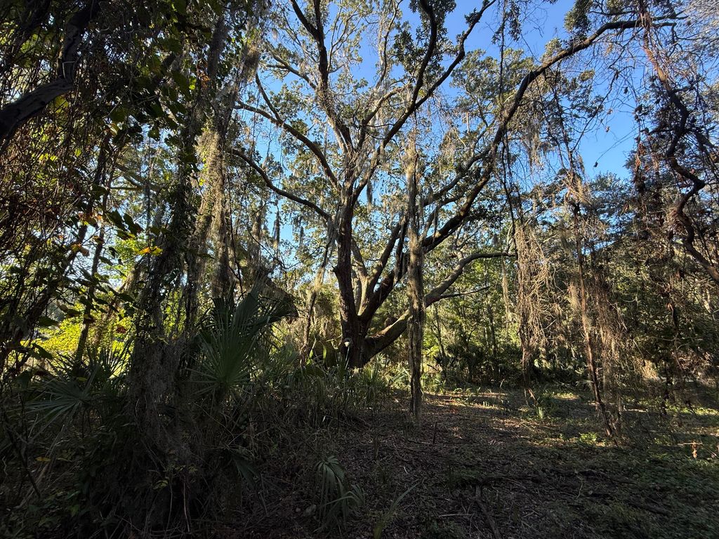 Image 9 of property listing at 404 Tanner Trail, Charleston, SC 29412