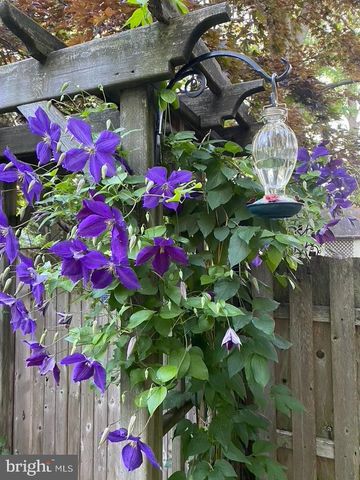 124 GRANDVIEW RD, Ardmore, PA 19003