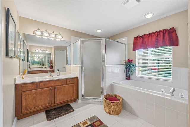 10334 COLLAR DRIVE, San Antonio, FL 33576