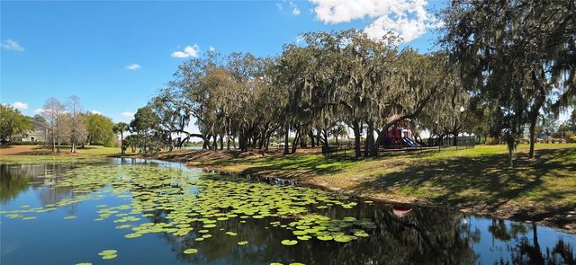 14439 BLUEBIRD PARK ROAD, Windermere, FL 34786