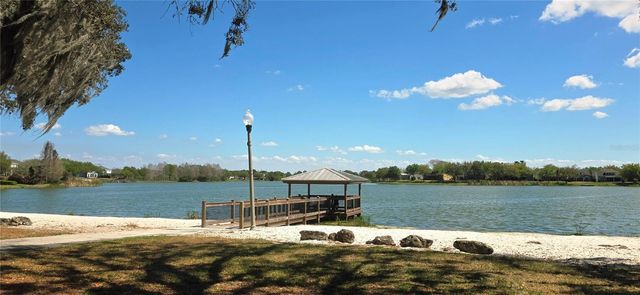 14439 BLUEBIRD PARK ROAD, Windermere, FL 34786