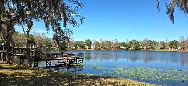 14439 BLUEBIRD PARK ROAD, Windermere, FL 34786