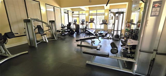 14439 BLUEBIRD PARK ROAD, Windermere, FL 34786