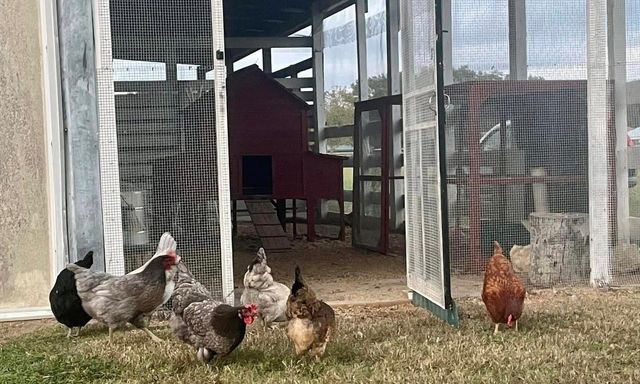 331 SE HIGHWAY 42, Summerfield, FL 34491