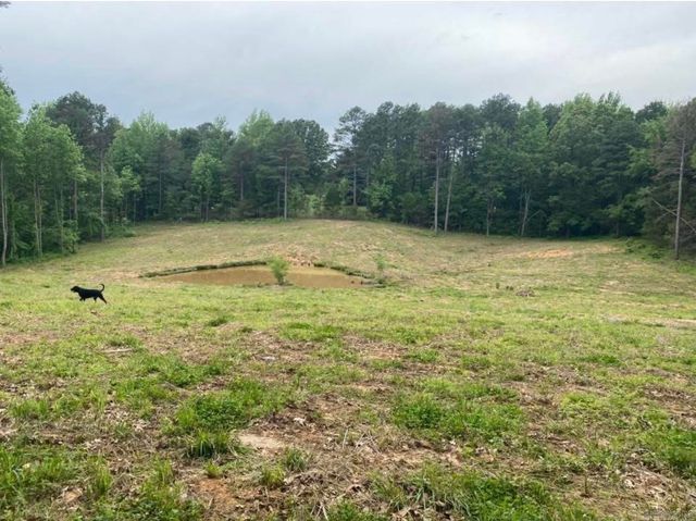 164 Greene 704 Road, Paragould, AR 72450