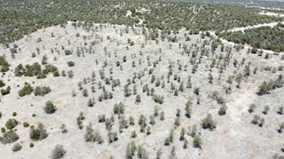 TWIN PEAKS COURT LOT 16, Estancia, NM 87016