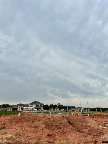 42651 Reminiscent Lane, Magnolia, TX 77354