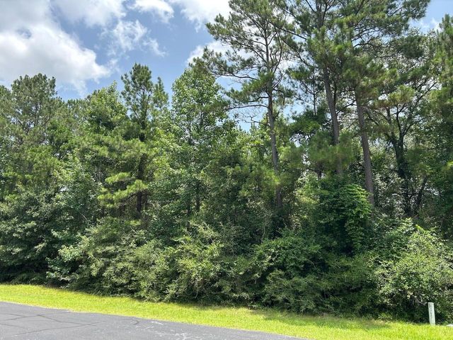17847 Appaloosa Dr, Waller, TX 77484