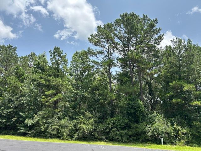 17847 Appaloosa Dr, Waller, TX 77484