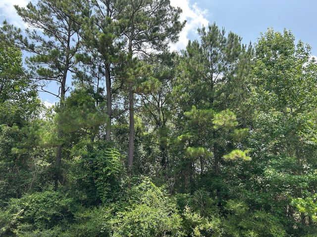 17847 Appaloosa Dr, Waller, TX 77484