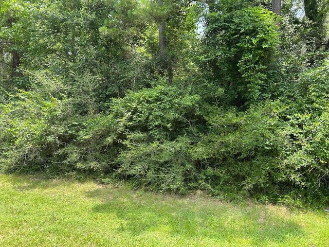 17847 Appaloosa Dr, Waller, TX 77484