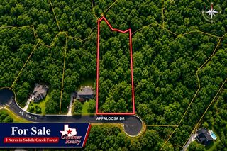 17847 Appaloosa Dr, Waller, TX 77484