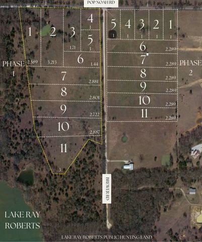 Phase 1 Lot 7 William Brewer Road, Tioga, TX 76271