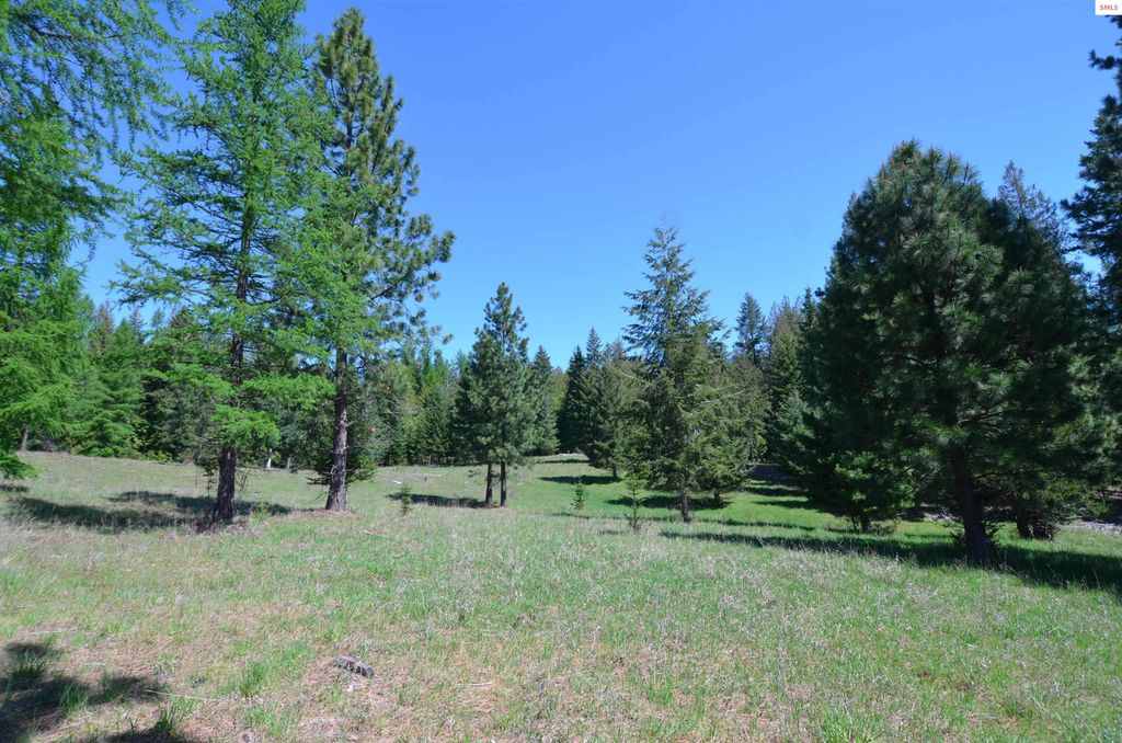Lot 8 (Tract 8) N Camp Bay Rd, Sagle, ID 83860 photo 2