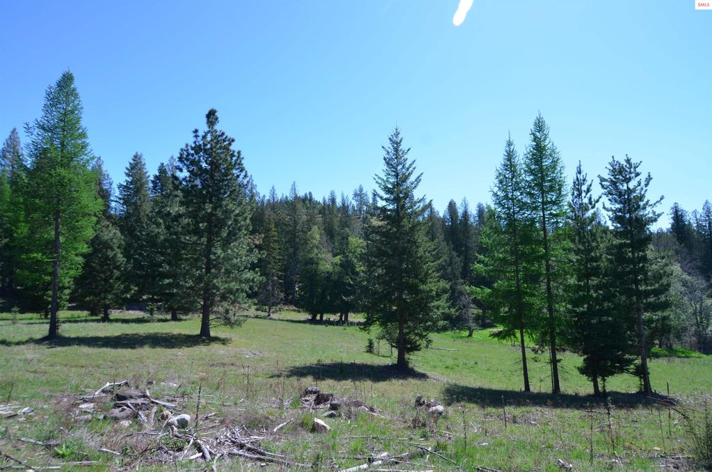 Lot 8 (Tract 8) N Camp Bay Rd, Sagle, ID 83860 photo 3