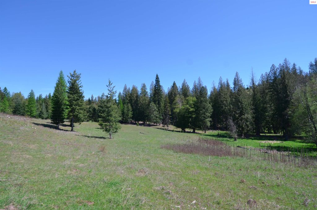 Lot 8 (Tract 8) N Camp Bay Rd, Sagle, ID 83860 photo 4