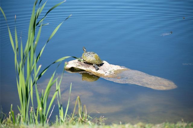 3715 45TH TERRACE W 103, Bradenton, FL 34210