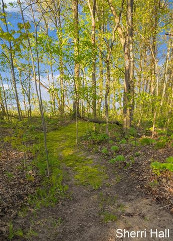 7861 S West County Line Road, Greenville, MI 48838