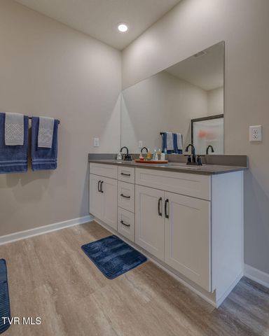 331 Terrapin Drive, Johnson City, TN 37604