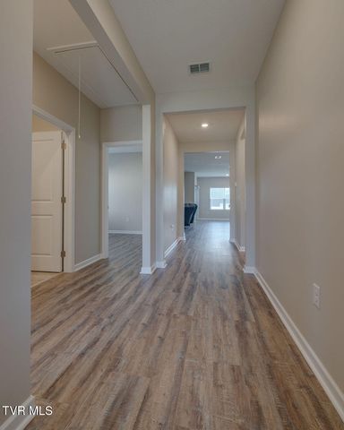 331 Terrapin Drive, Johnson City, TN 37604