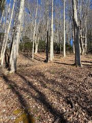 6020 Forge Creek Road, Mountain City, TN 37683