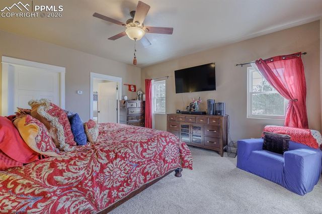 293 Daniwood Grove, Florissant, CO 80816