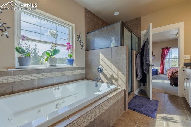 293 Daniwood Grove, Florissant, CO 80816