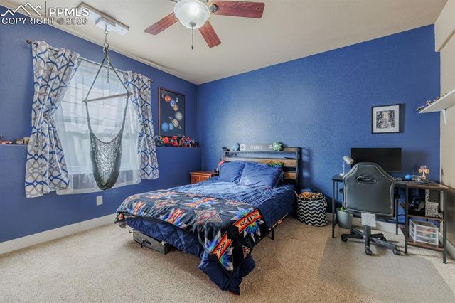 293 Daniwood Grove, Florissant, CO 80816