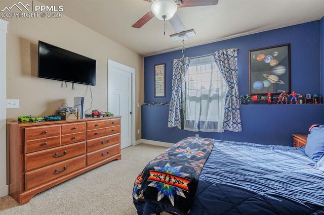 293 Daniwood Grove, Florissant, CO 80816