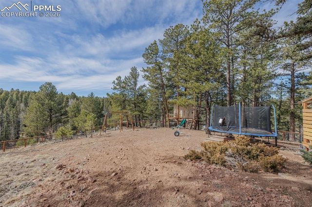 293 Daniwood Grove, Florissant, CO 80816