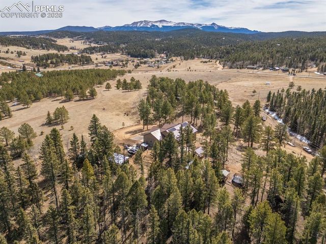 293 Daniwood Grove, Florissant, CO 80816