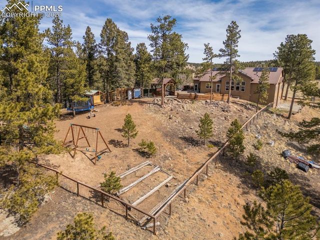 293 Daniwood Grove, Florissant, CO 80816