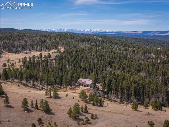 293 Daniwood Grove, Florissant, CO 80816