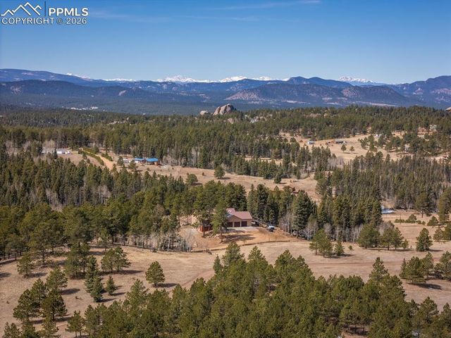 293 Daniwood Grove, Florissant, CO 80816