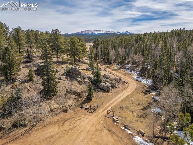 293 Daniwood Grove, Florissant, CO 80816
