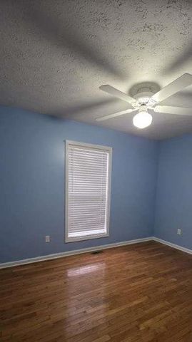 53 Hollow Hill Spur, Blairsville, GA 30512