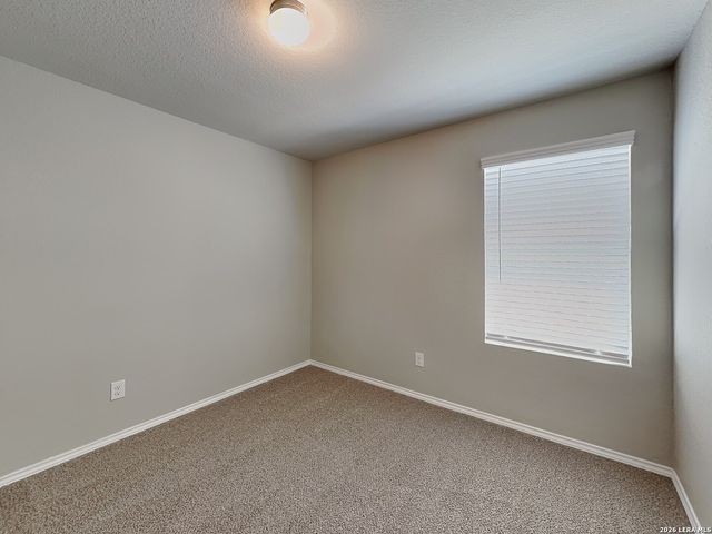 2423 Pechora Pipit, New Braunfels, TX 78130