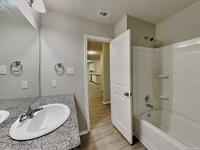 2423 Pechora Pipit, New Braunfels, TX 78130
