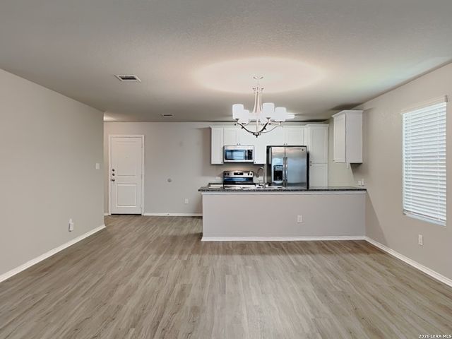 2423 Pechora Pipit, New Braunfels, TX 78130