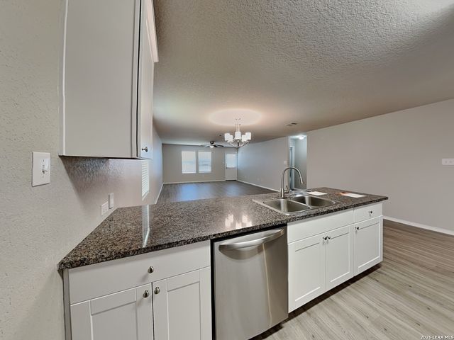 2423 Pechora Pipit, New Braunfels, TX 78130