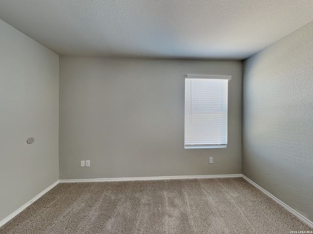 2423 Pechora Pipit, New Braunfels, TX 78130