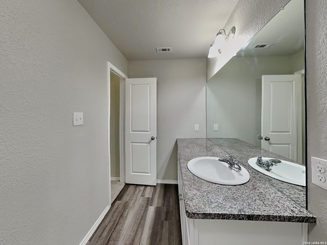 2423 Pechora Pipit, New Braunfels, TX 78130