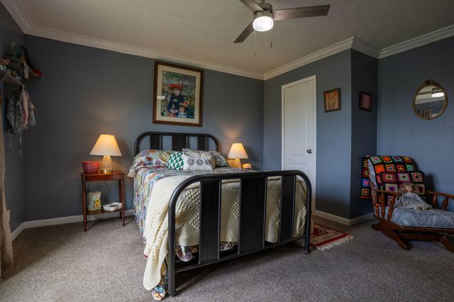116 County Road 779, Ider, AL 35981