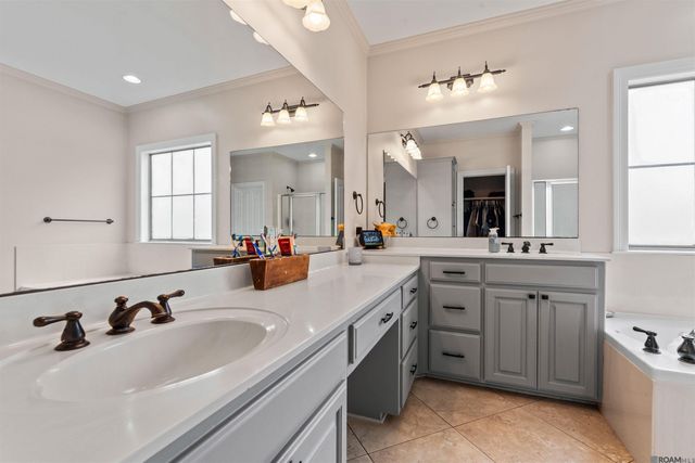 12490 Plantation Creek Dr, Geismar, LA 70734