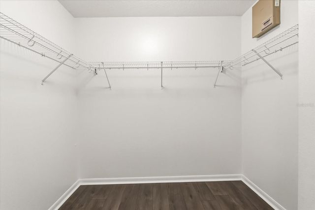 13156 MORO COURT, Winter Garden, FL 34787