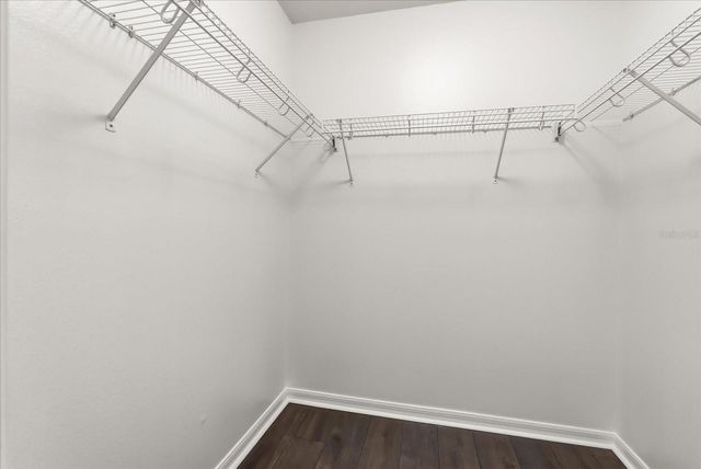 13156 MORO COURT, Winter Garden, FL 34787