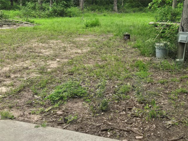 9107 Black Buck Lane, Conroe, TX 77303