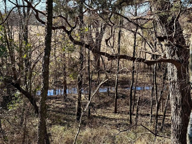 Lot 4 TBD Hidden Valley Road, Valley View, TX 76272