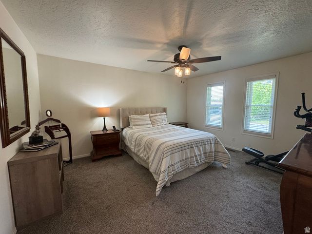 1170 E 50 N, Springville, UT 84663